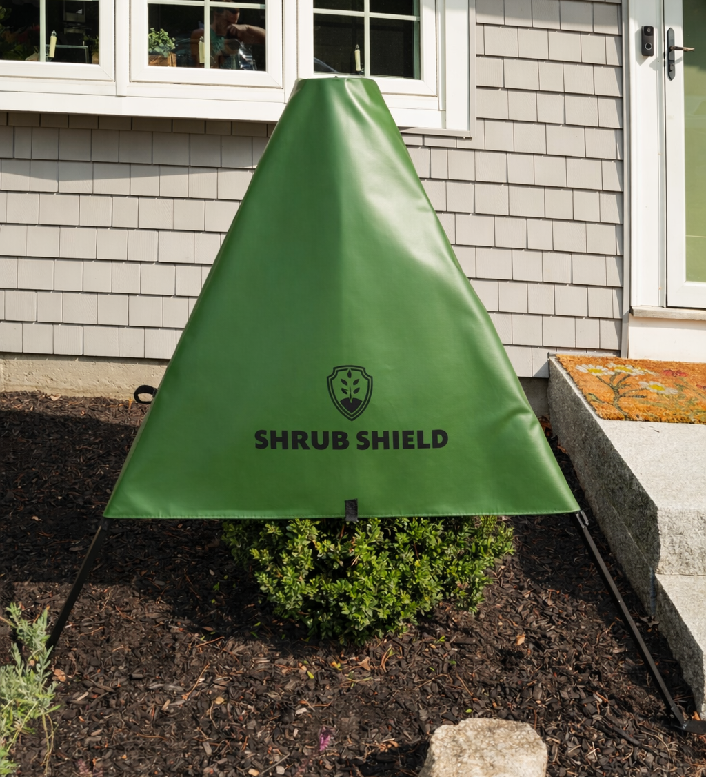 Shrub Shield